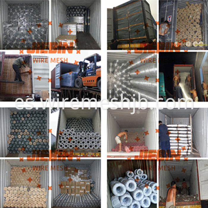 Brass wire mesh/ Copper Wire Mesh